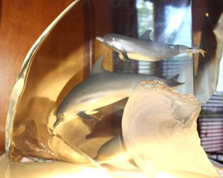 Dolphin Wonder by Robert Wyland, Lucite Sculpture with custom made light table. No. 1,673 of 2,000. BUY IT NOW! $975.00. 12 1/2" X 13 1/2" X 7"