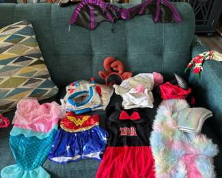 Variety of Dog Costumes