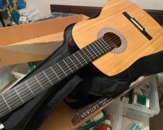 Burwood Esteban guitar