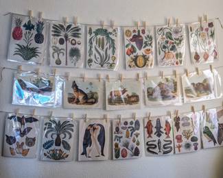 Botanical Prints & Audubon Animal Prints NEW. Much more not pictured...