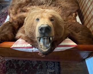Kodiak bear rug taxidermy