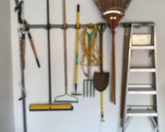 Tree Trimmer, Ladder, And More