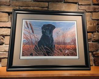 Ready At Dawn by Bruce Miller