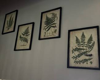 More beautifully framed botanicals