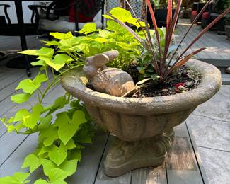 Another concrete planter with plantings