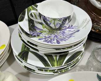 North Hamshire England " Agapanthus"