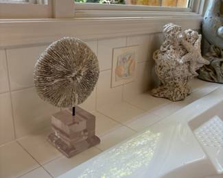 Another wonderful piece of Sea Urchins