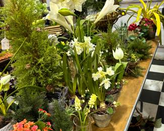 More beautiful florals