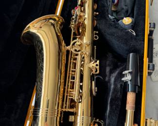 Selmer Soloist  alto saxophone with case