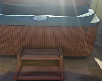 Jacuzzi hot tub. Needs new control panel