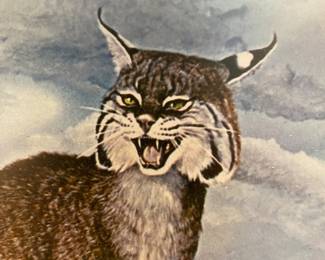 "Come see Joel and all the crew in Helena right meow!"