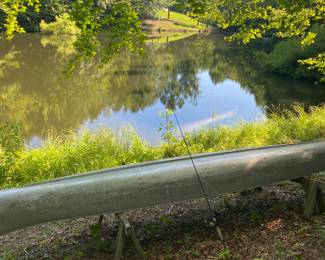With a lake like this I probably would have wanted to do a sale at this house even if it was filled with nothing but cut glass. Thankfully, it is full of top notch goodies! I’ll let you know how the fishing is next time I’m out there. *UPDATE; There is a willow tree hanging in the water to the left of the property. I have caught one small bass there everyday and not bites anywhere else. Come cast a line while I sell your wife beautiful decorative pillows.