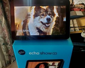 Echo Show