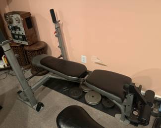 Weight bench with free weights