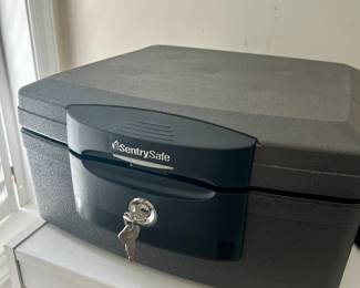 portable safe by Sentry Safe
