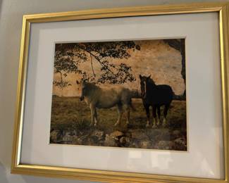 Photograph of Horses