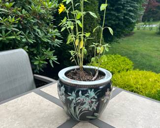 Nice Oriental Pot w Plant