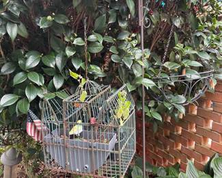 Bird cage