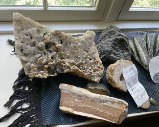 Incredible selection of fossils!!