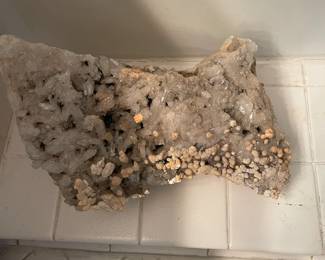 Large selection of shells and fossils.