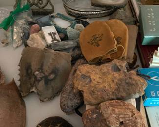 Large selection of "smalls."