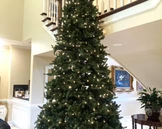 Exceptionally large  Christmas tree with lights