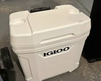 Igloo Cooler