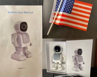 Mini Dancing Robert Robot