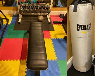 Everlast Punching Bag