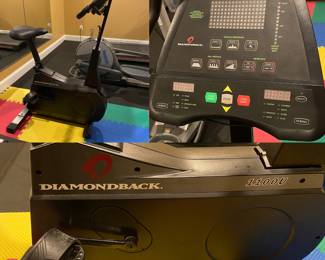 Diamondback 1100U Stationary Bike