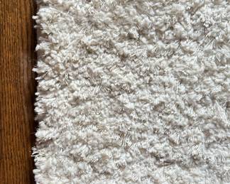 Shag Area Rug. Measures 6' 10" x 5'. Photo 2 of 2. 