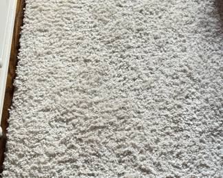 Shag Area Rug. Measures 6' 10" x 5'. Photo 1 of 2. 