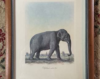 Print of Elephant. Measures 13" x 17". 