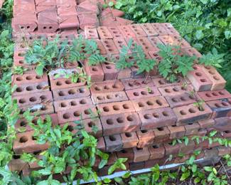 3 Hole Cored Red Bricks - for all bricks listed we will have samples and if interested will go to another location for bulk purchases.