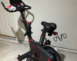 Echelon Stationary Exercise Bike and Area Rug 5.7 x 7.7 Size 