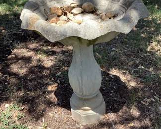 Bird Bath
