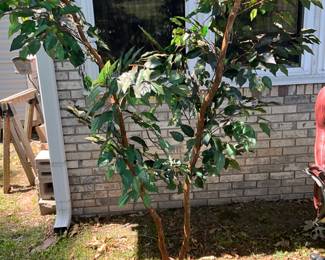 Outdoors in back of the house - artificial tree