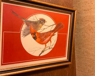 Cardinal matted & framed picture