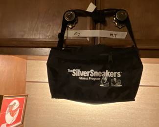 Silver sneakers bag