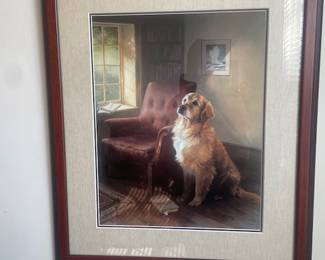 Golden retriever, wall frame print