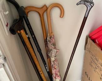 Canes, walking sticks