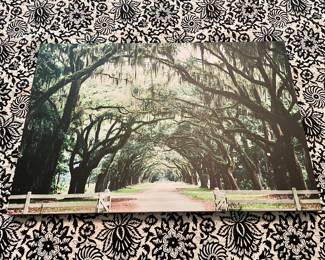 East Hill Canopy Trees 20”x30” $100