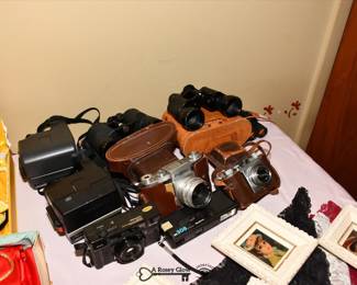 0030Some Highlights West Chicago Estate Sale