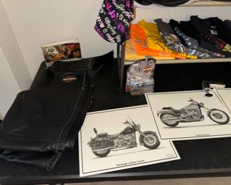 Harley Davidson Chaps & Vintage T-shirts, Bilt Helmet & Harley Helmets