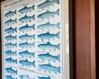 TROUT, SALMON AND CHAR OF NORTH AMERICA ART