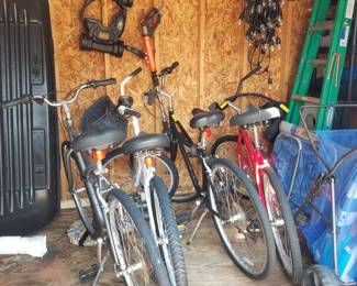 Beach bikes; step ladder; shed stuff