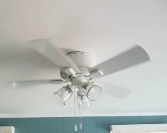 Illuminated ceiling fan - multiple available 