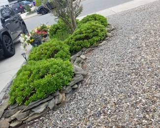 Slate pieces; plantings; stones