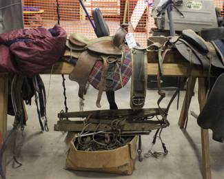 SADDLES AND RIDING GEAR