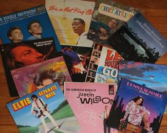 Vintage record albums ... includes Elvis, Willie Nelson, Everly Brothers, Nat King Cole, Chet Atkins, Barbara Streisand and many others!  It's a cool collection!  